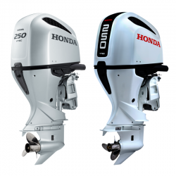 Honda BF250 XDUNH565 -...